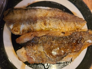 20231004_200331.jpg