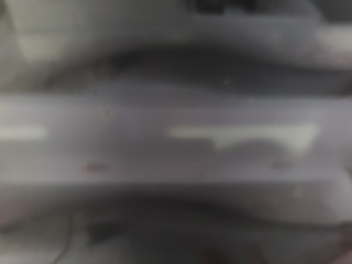 20250315_080410.jpg