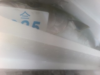 20250317_075111.jpg