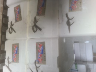 20250411_074842.jpg