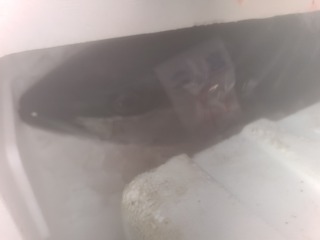 20250515_080805.jpg